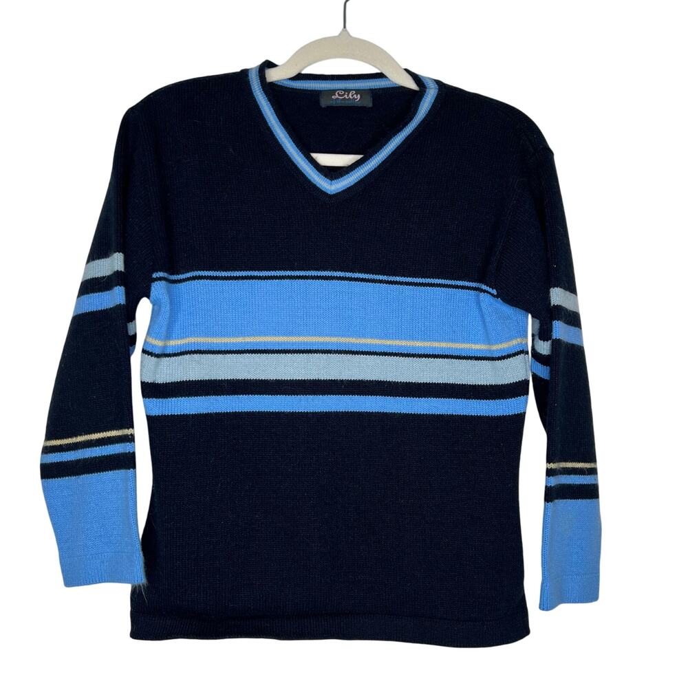 Vintage Lily of the Valley Blue V-Neck Striped Sweater Size 10